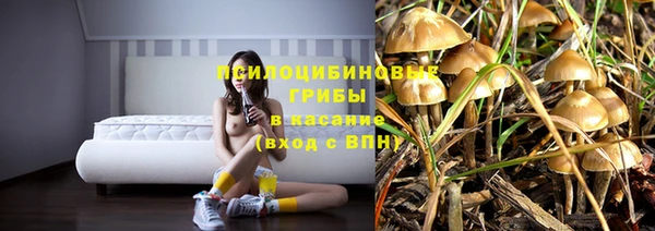 ECSTASY Волгодонск