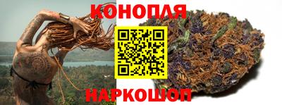 эйфоретик Аргун