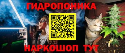 эйфоретик Аргун
