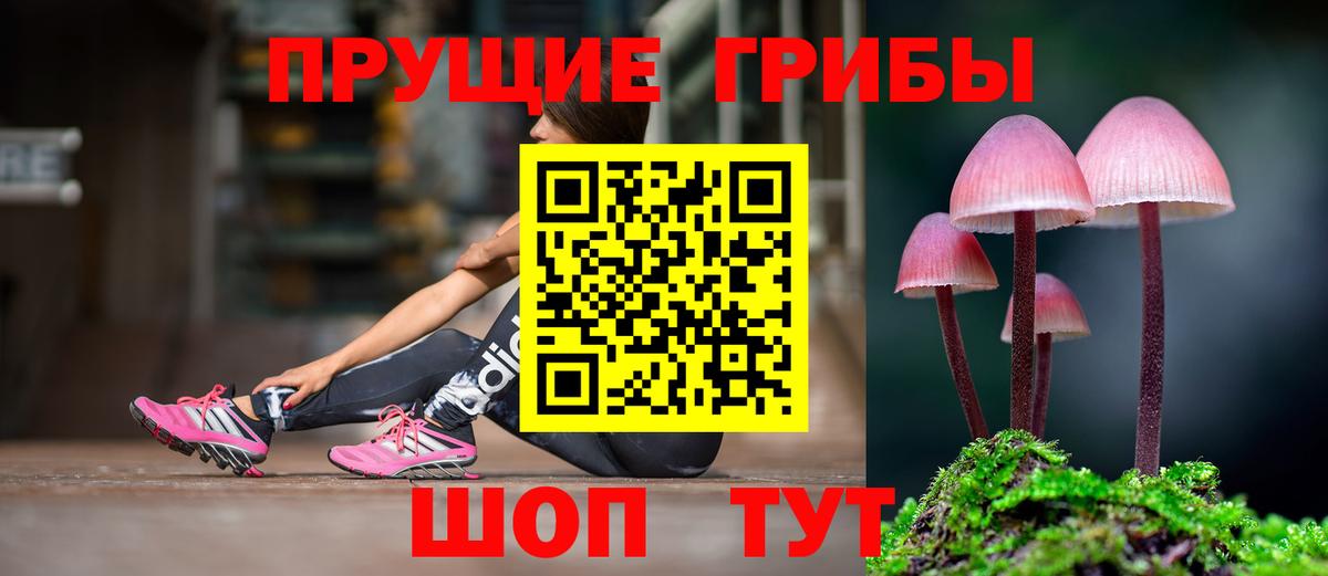 Северск  Галлюциногенные грибы MAGIC MUSHROOMS  Вход с VPN  Псилоцибиновые грибы ЛСД 