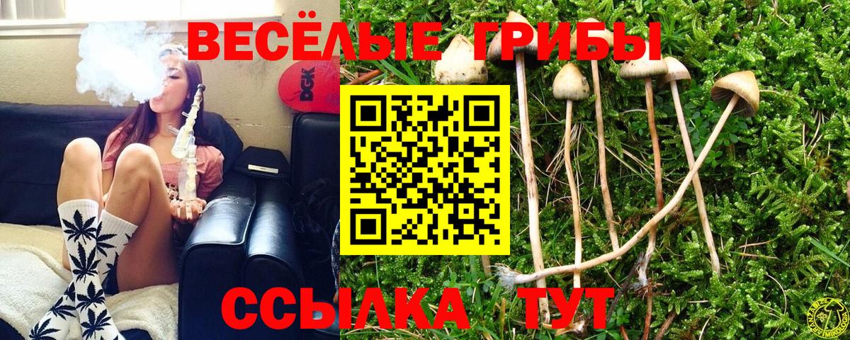 Галлюциногенные грибы мухоморы Северск